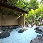 Public Spa photo