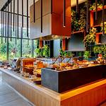 Meals photo