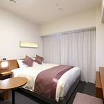 Guestroom photo