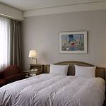 Western style room photo