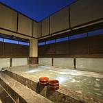 Public Spa photo