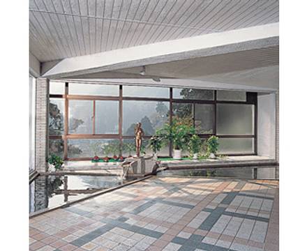 Irodori Koyo photo