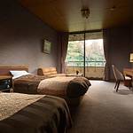 Western style room photo