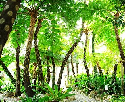 Twin-line Hotel Yanbaru Okinawa photo