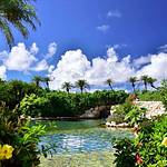 Swimming Pool photo