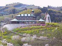 Hotel photo photo