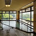 Public Spa photo