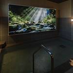 Public Spa photo