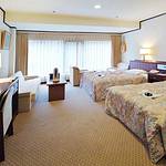 Guestroom photo