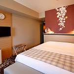 Guestroom photo