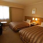 Guestroom photo