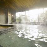 Public Spa photo