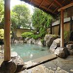 Public Spa photo