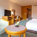 Guestroom photo