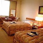 Guestroom photo