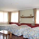 Western style room photo